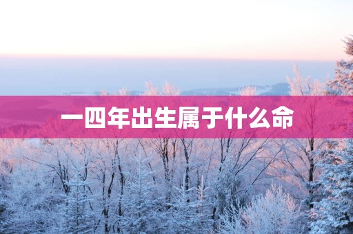 一四年出生属于什么命