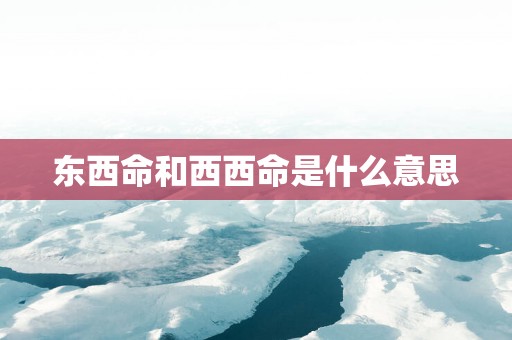 东西命和西西命是什么意思