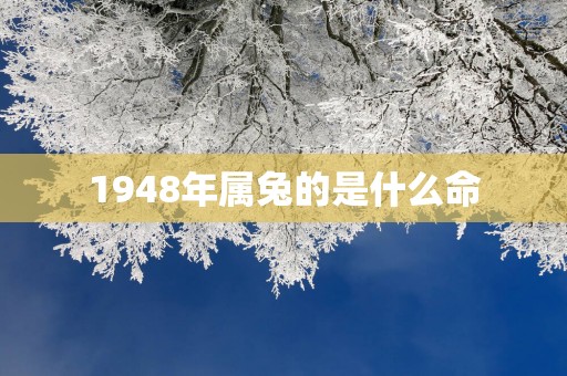 1948年属兔的是什么命