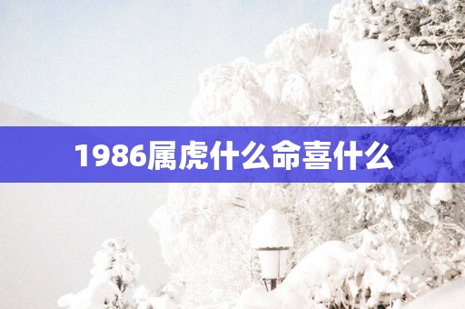1986属虎什么命喜什么
