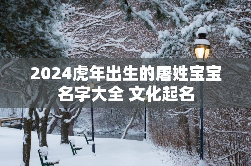 2025蛇年出生的屠姓宝宝名字大全 文化起名
