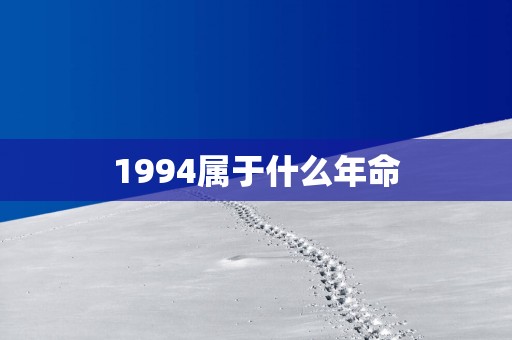1994属于什么年命