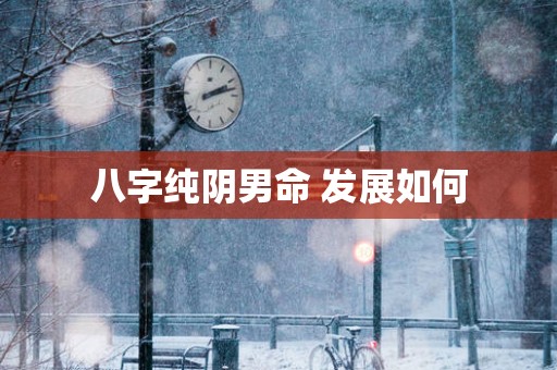 八字纯阴男命 发展如何
