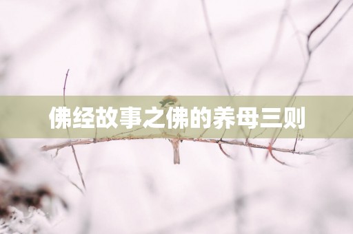 佛经故事之佛的养母三则