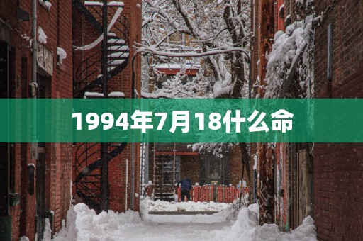 1994年7月18什么命