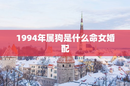 1994年属狗是什么命女婚配