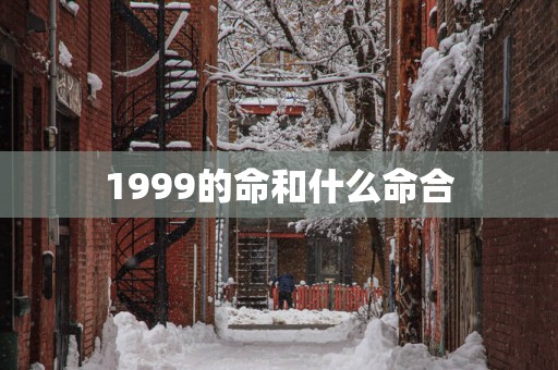 1999的命和什么命合