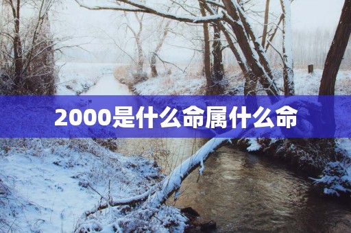 2000是什么命属什么命