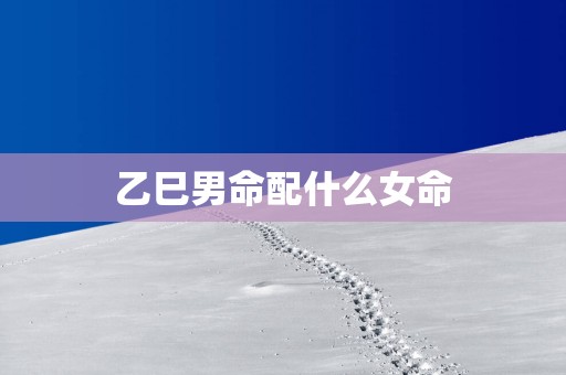 乙巳男命配什么女命