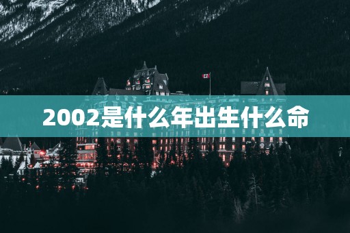 2002是什么年出生什么命