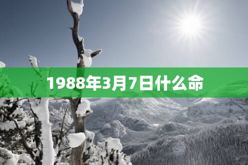 1988年3月7日什么命