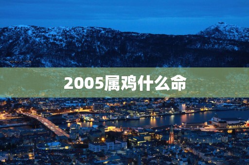 2005属鸡什么命