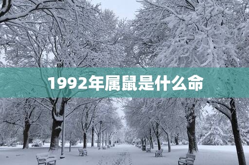 1992年属鼠是什么命