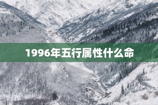 1996年五行属性什么命