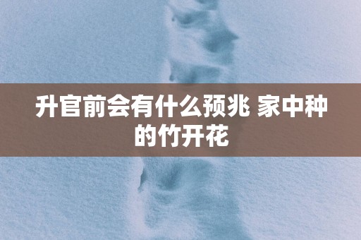 升官前会有什么预兆 家中种的竹开花