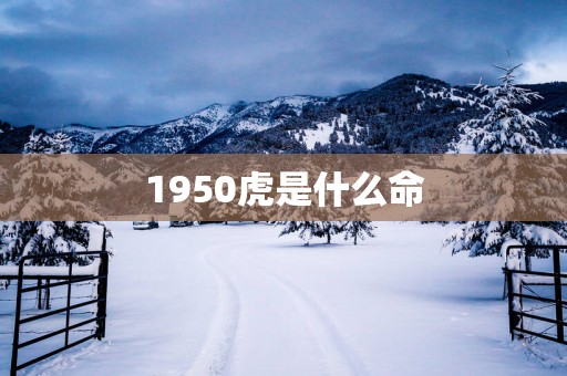 1950虎是什么命