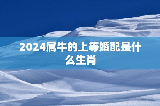 2025属牛的上等婚配是什么生肖