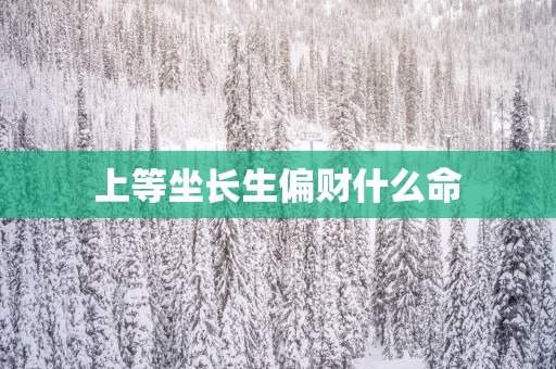上等坐长生偏财什么命