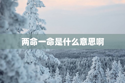 两命一命是什么意思啊