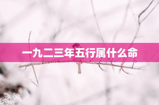一九二三年五行属什么命