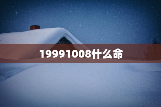 19991008什么命