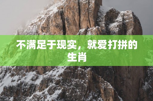 不满足于现实，就爱打拼的生肖