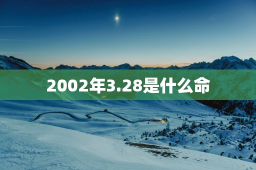 2002年3.28是什么命