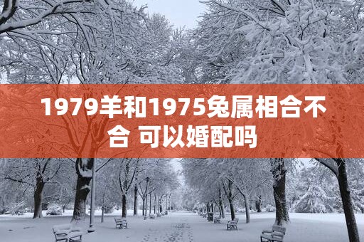 1979羊和1975兔属相合不合 可以婚配吗