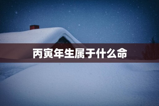丙寅年生属于什么命