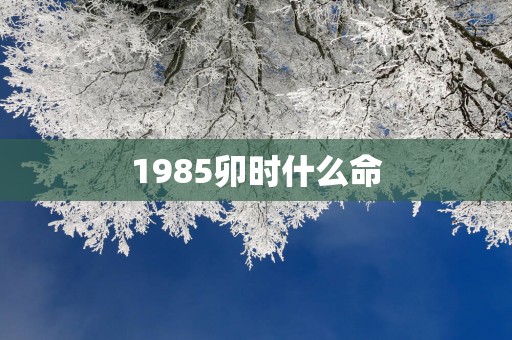 1985卯时什么命