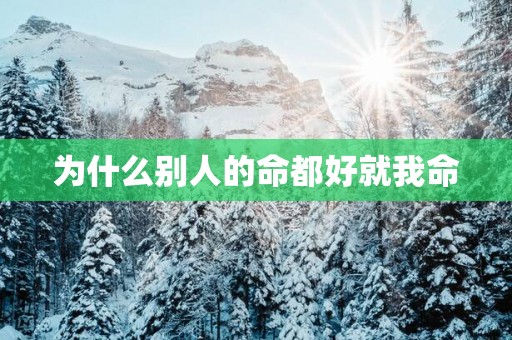 为什么别人的命都好就我命