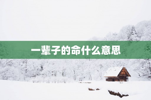 一辈子的命什么意思