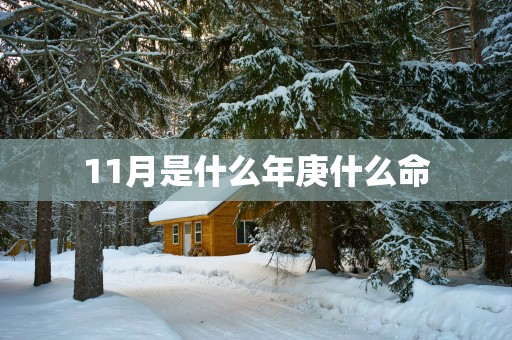 11月是什么年庚什么命
