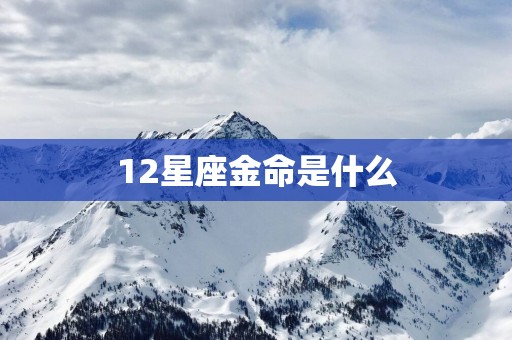 12星座金命是什么