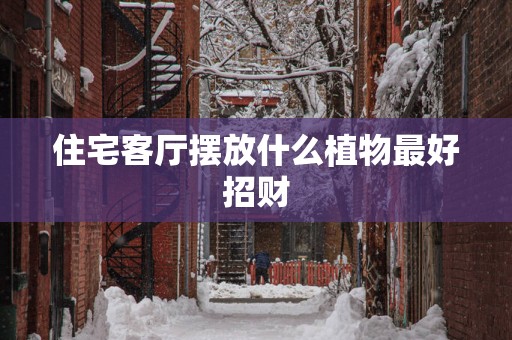 住宅客厅摆放什么植物最好招财