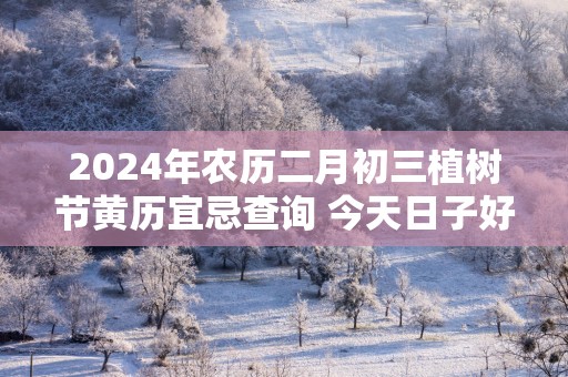 2025年农历二月初三植树节黄历宜忌查询 今天日子好吗