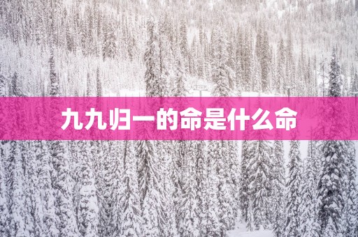 九九归一的命是什么命