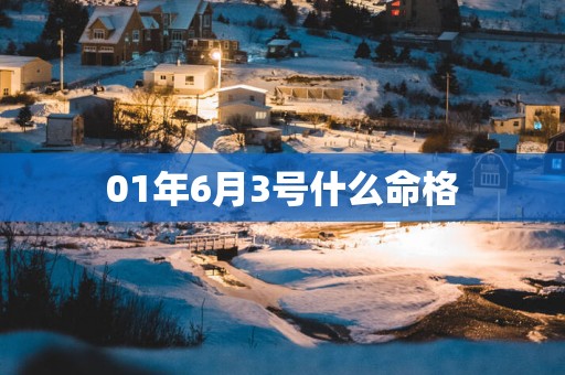 01年6月3号什么命格