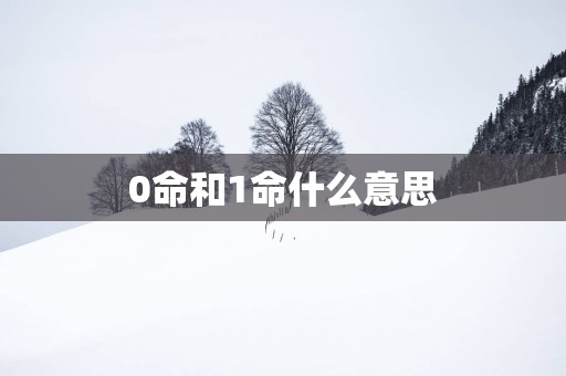 0命和1命什么意思