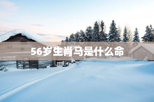 56岁生肖马是什么命