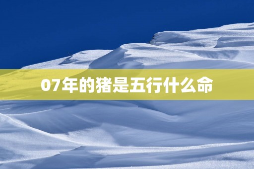 07年的猪是五行什么命