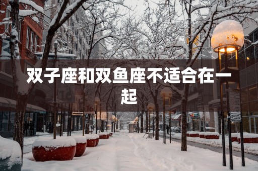 双子座和双鱼座不适合在一起