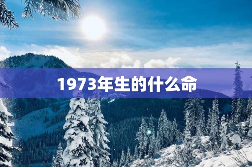 1973年生的什么命