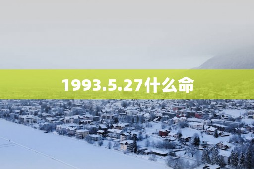 1993.5.27什么命