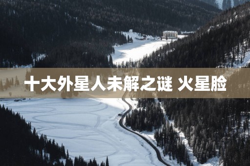 十大外星人未解之谜 火星脸