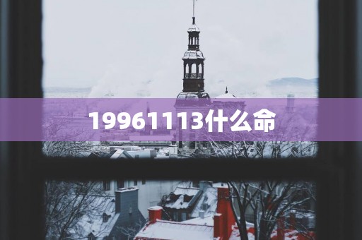 19961113什么命