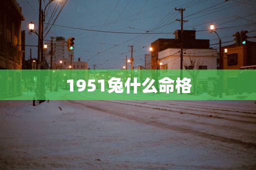 1951兔什么命格