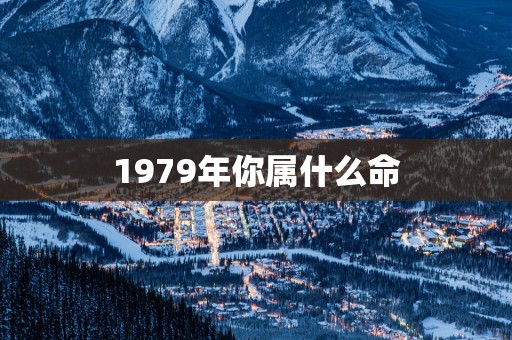 1979年你属什么命