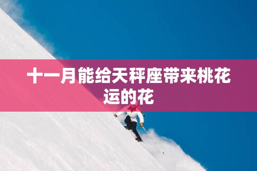 十一月能给天秤座带来桃花运的花