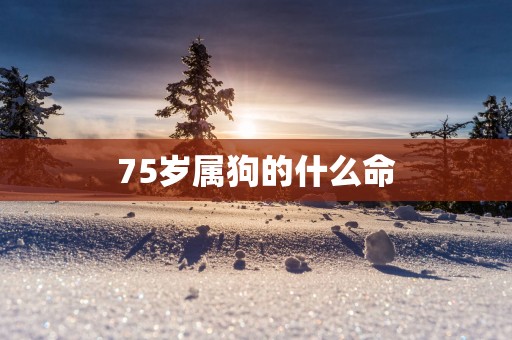 75岁属狗的什么命
